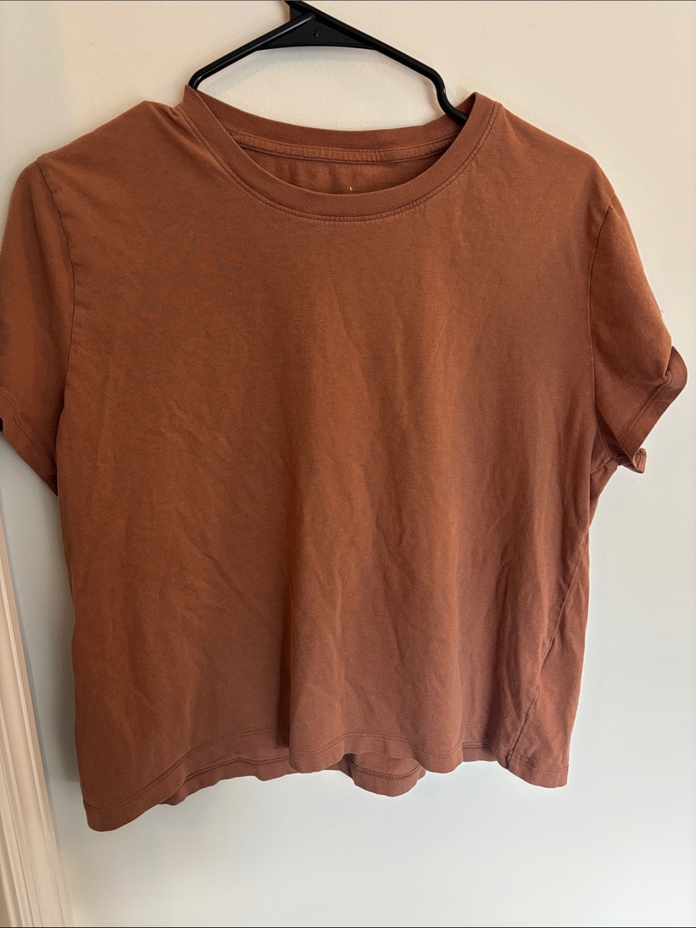Everlane Boxy Cropped Tee